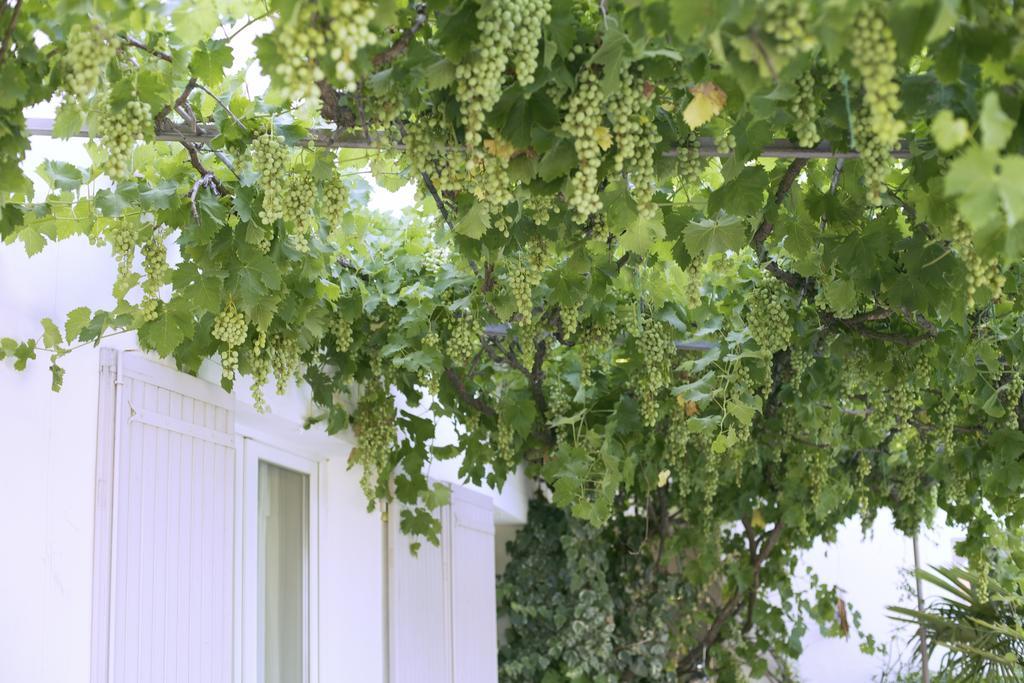 Maison Pertuis Provence Zewnętrze zdjęcie